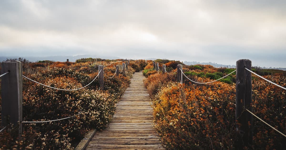 Autumn or Spring: Which Are You? quiz cover